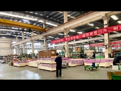 এইচএইচটি -2000