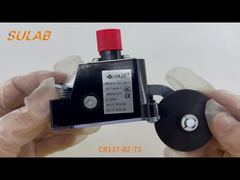 IP67 রেটিং, 2×SPDT স্ন্যাপ-অ্যাকশন পরিচিতি এবং স্টিল রোলার এল সহ CR137-BZ-T2 হেভি-ডিউটি ​​লিমিট সুইচ